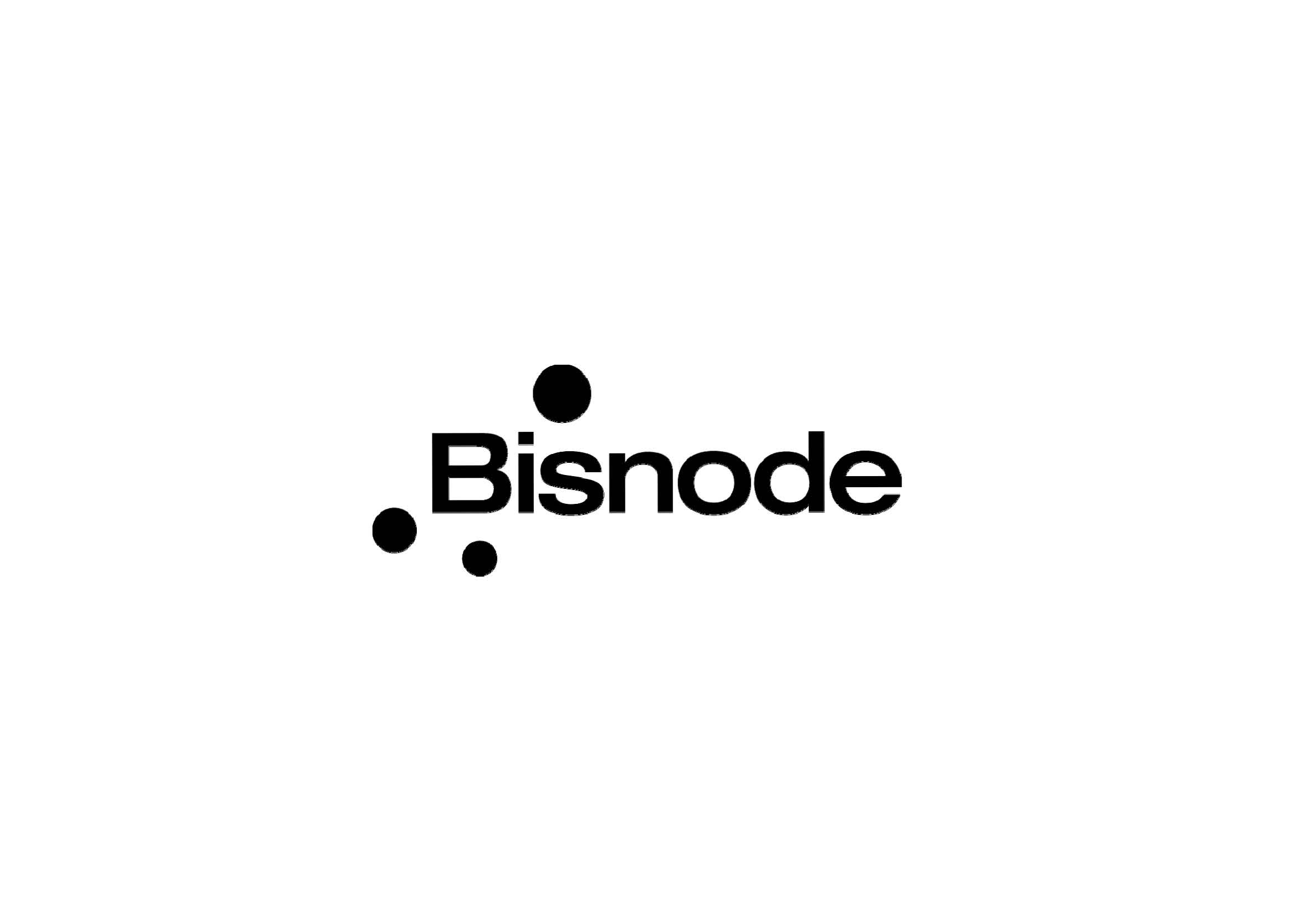 323 Bisnode 39