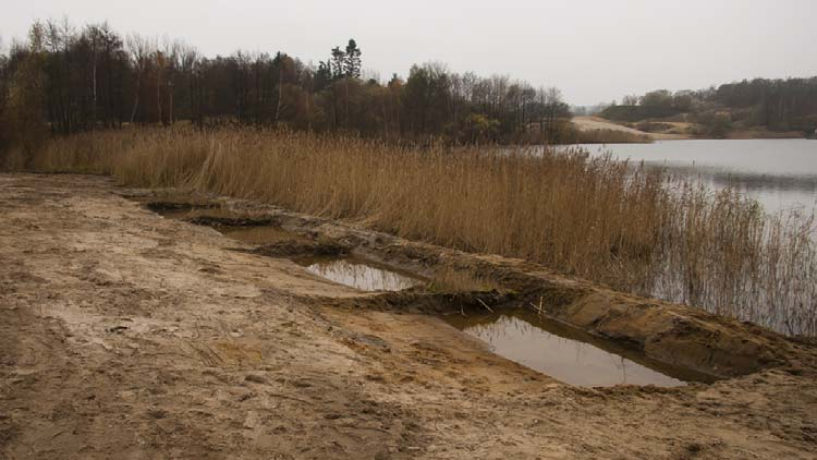 Nyanlagda pölar i Tvedöra sandtag. 6 Sammanfattning och tolkningar Årets rekrytering får anses bedrövlig. Bästa kvällen registrerades 20 spelande hanar och 1 par.