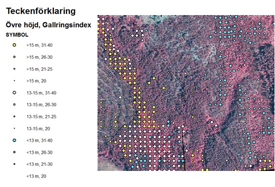 Ett exempel från tidigare produktion av gallringspunkter på Bergvik Skog baserade på laserskanning återfinns i Figur 3. Gallringsbehovet visas baserat på trädhöjd och gallringsindex.