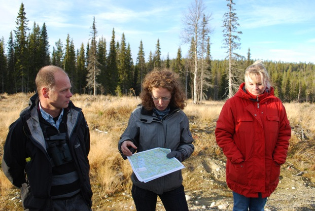 Här skulle det komma att finnas många vindkraftverk om projekt Hemberget Vindkraftspark