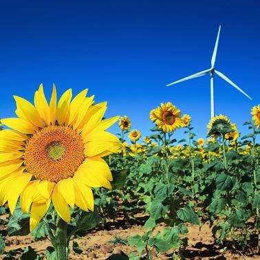 Hållbar elproduktion» Vatten, vind och sol bygger framtidens förnybara elsystem.