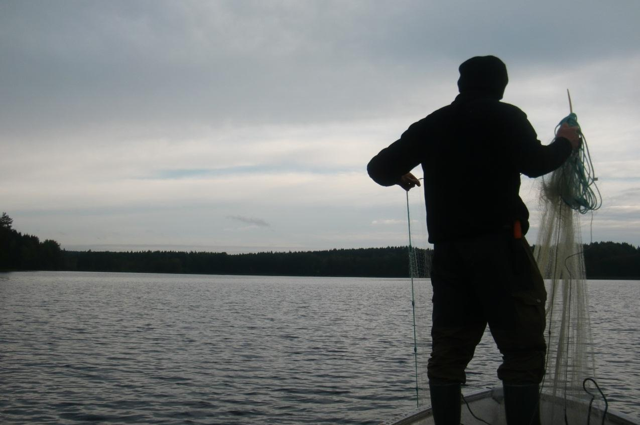 Hyttjärn, Örtjärnen,