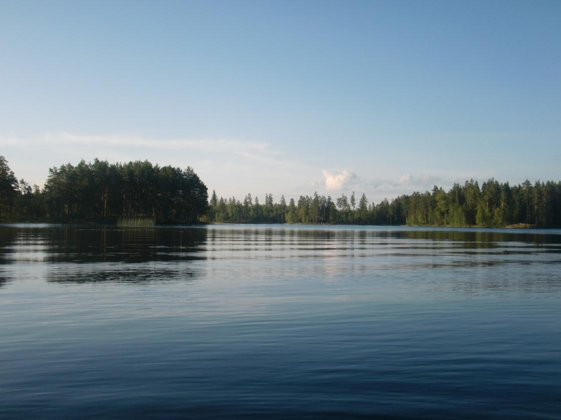 4 Resultat sjö för sjö 4.1 Stora Fjällingstjärnen 4.1.1 Kort sjöbeskrivning Stora Fjällingstjärnen är en arton hektar stor sjö belägen ca tio kilometer norr om Norberg längs med väg 270.