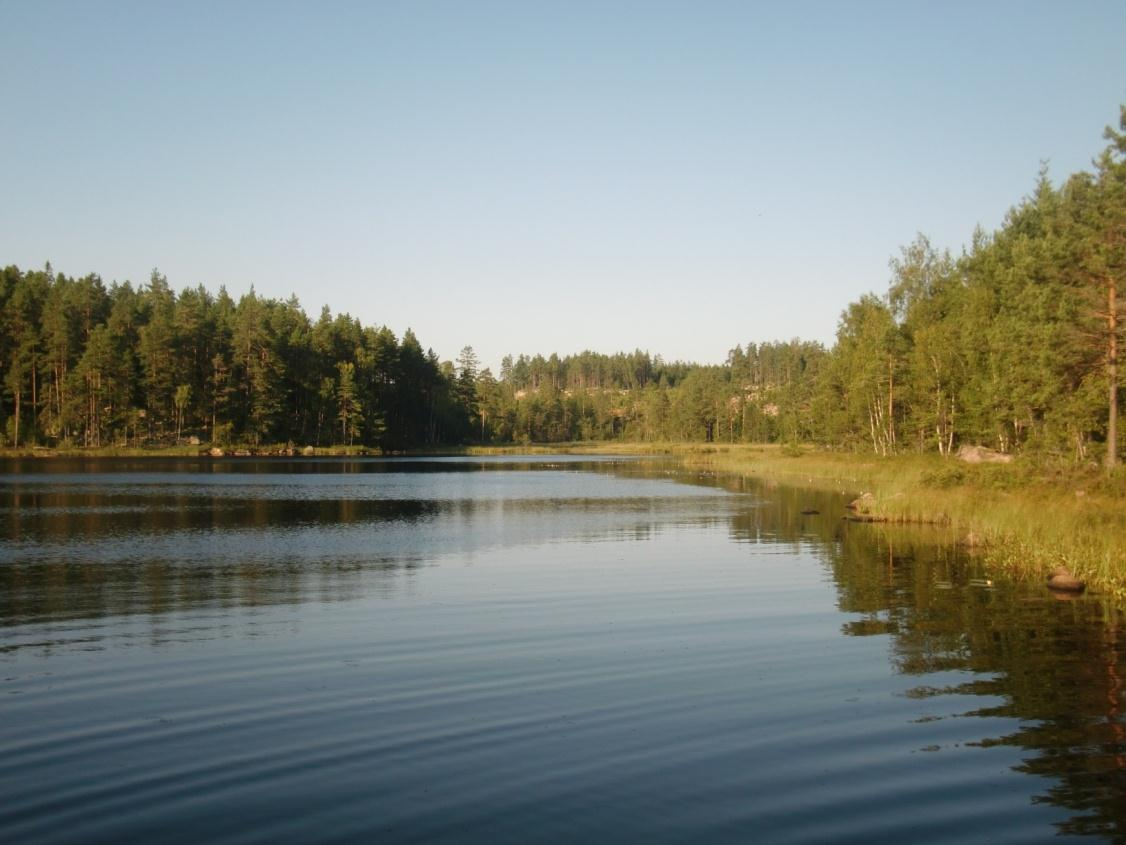 4.2 Hyttjärn 4.2.1 Kort sjöbeskrivning Hyttjärn är en fyra hektar stor sjö som ligger ca fem kilometer sydost om Norberg.