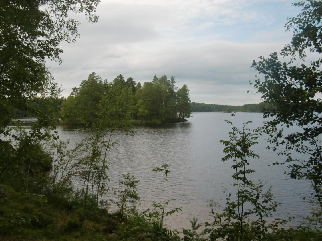 4.6 Märrsjön 4.6.1 Kort sjöbeskrivning Märrsjön är en 52 hektar stor sjö som ligger ca tre kilometer sydöst om Ängelsberg.