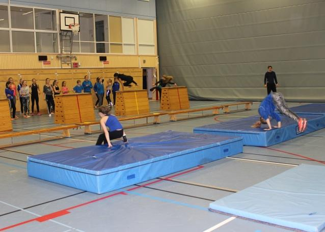 De som åkte var: Alina Kohlström och Hanna Viklund (Umeå Gymnastikförening), Faezeh och Fatemeh Amiri (Polcirkelgymnasterna), Ebba Boudin och Johanna Marcusson (Lulegymnasterna),