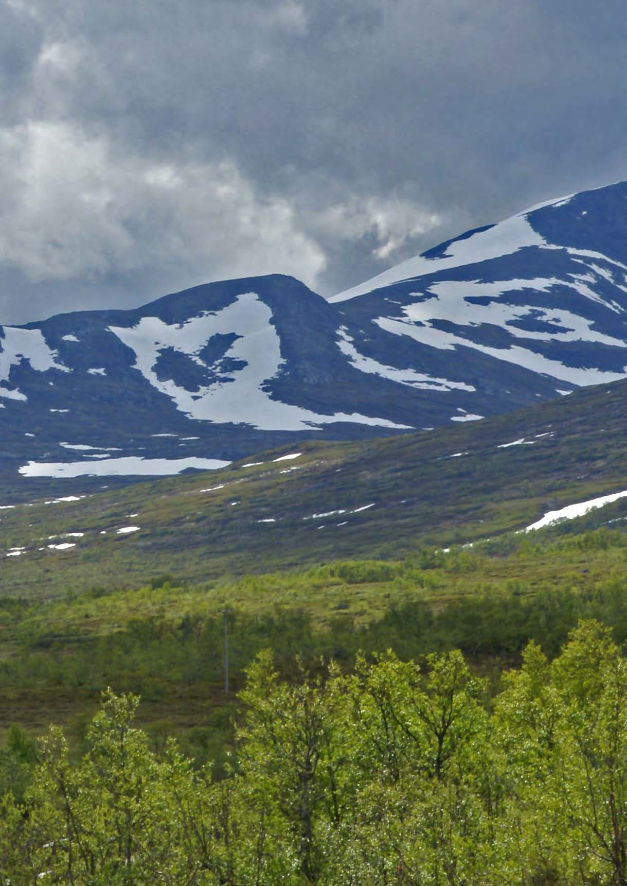 Fjällen i ett föränderligt klimat