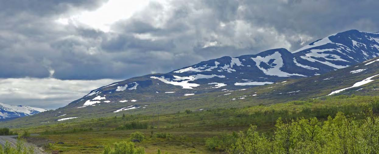 Fjällen i ett föränderligt klimat en vandring i tid och rum på Getryggen o: Lisa Öberg, 21 maj, 2010.