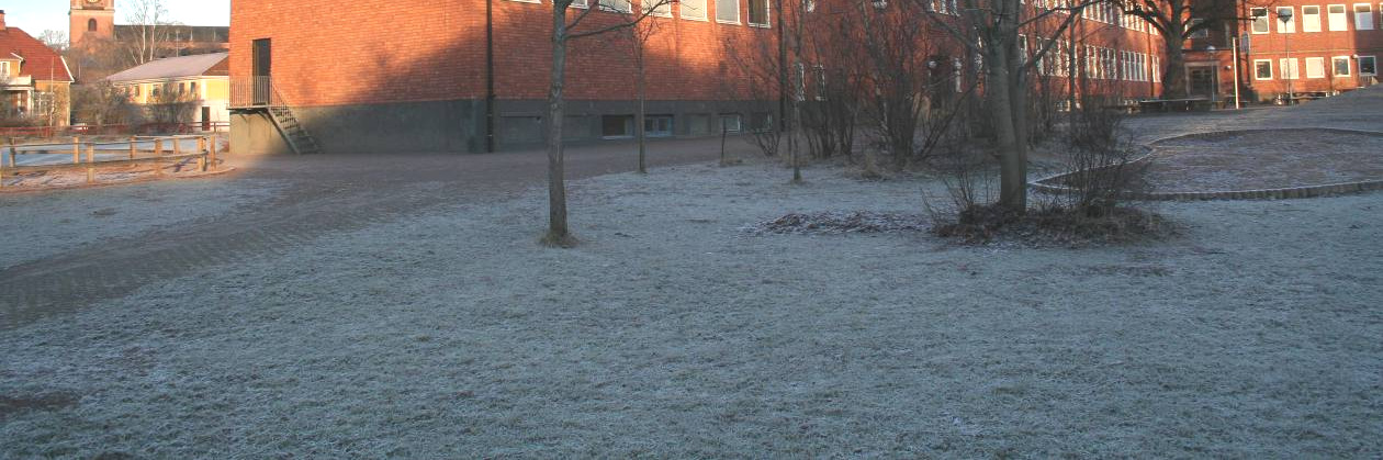 Redovisning och examination av detta arbete sker vid utvecklingssamtalet i Pedagogiskt arbete III.