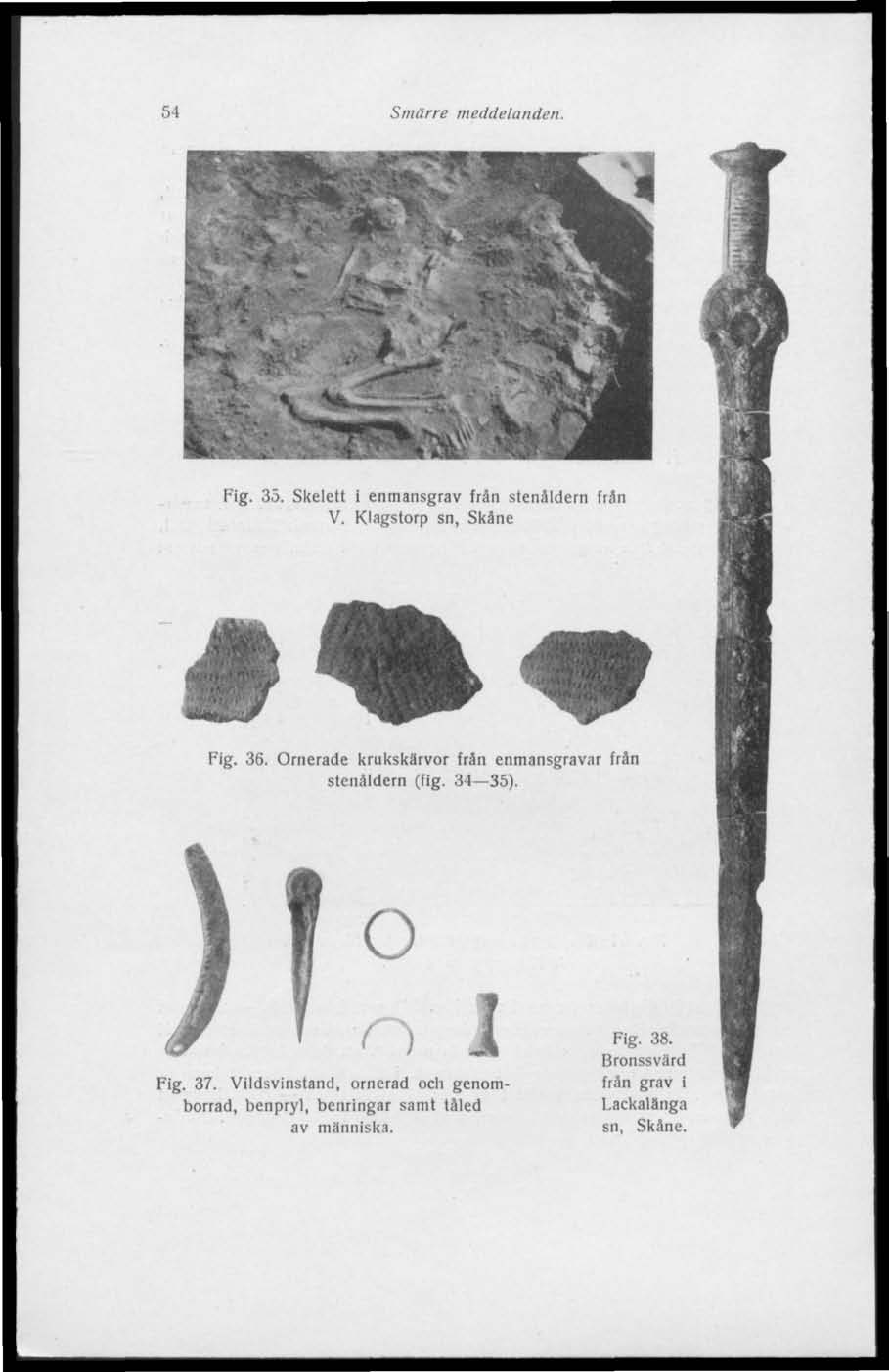 54 Smärre meddelanden. Fig. 35. Skelett i enmansgrav frän stenåldern från V. Klagstorp sn, Skäne Fig. 36.