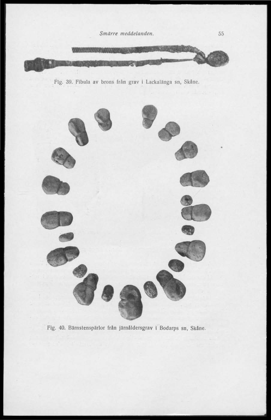 Smärre meddelanden. 55 Fig. 39.