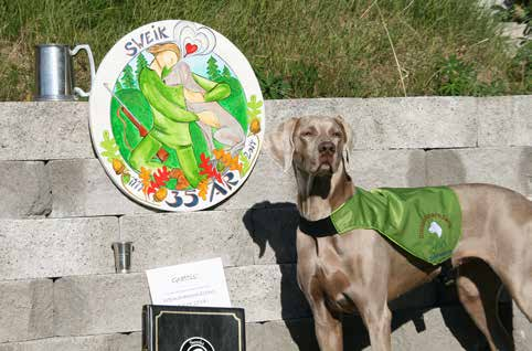 se SVENSKA WEIMARANERKLUBBENS MEDLEMSTIDNING Rapport &