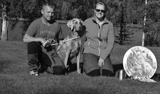 KM-vinnare Weimaranermästare 2014 Stort grattis