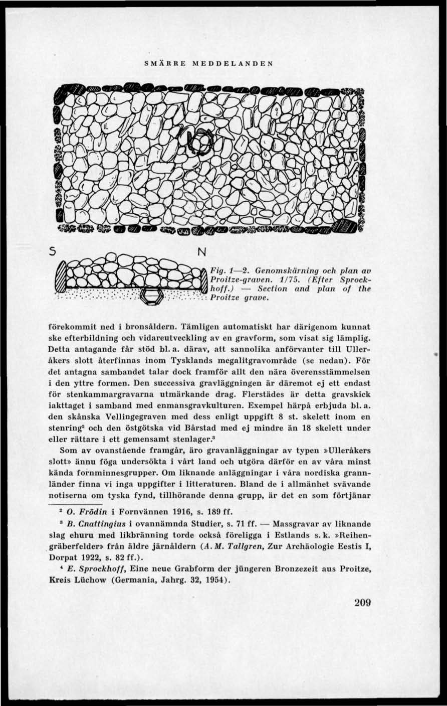 Fig. 1 2. Genomskärning och plan au Proitze-graven. 1/75. (Efter Sprockhoff.) Section and plan of the Proilze grave. förekommit ned i bronsåldern.