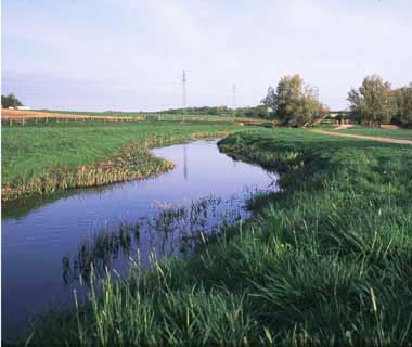 Nedfall/Fixering Tillrinningsområdet Ammonium i sjöekosystem is metalimnion Grundvatten Reducerade sediment Oxiderade sediment Assimilation Ammonifiering Nitrifikation