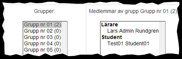 4. Klicka på knappen Lägg till så flyttas markerade användare till rutan för Gruppmedlemmar. 5. Klicka på knappen Tillbaka till grupper, när aktuell grupp är färdig.