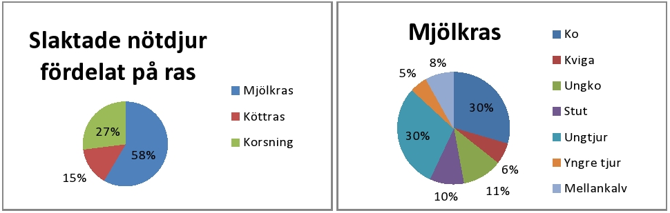 9 LITTERATURSTUDIE Tillgång på tjurar av mjölkras Nötköttsproduktionen i Sverige är idag helt beroende av mjölkproduktionen (Strand, 2015).