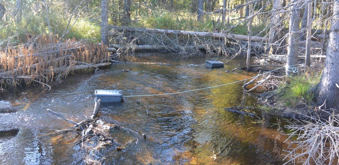 Metod Björkån i Sollefteå kommun, Västernorrlands län, utgör ett delavrinningsområde till Ångermanälven (SMHInr:38).