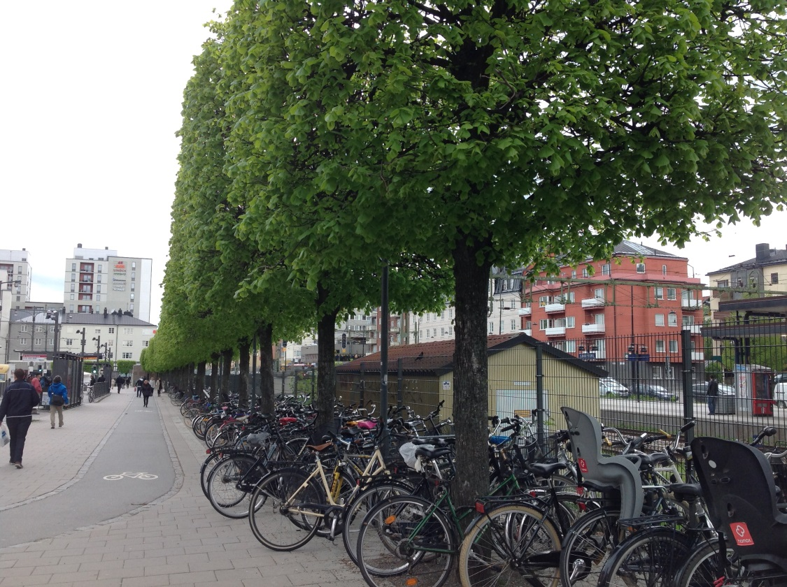 Sundbybergs kommun är bebyggd och hyser få sammanhängande större naturområden i anslutning till Mälarbanan. I stadsdelens mest centrala delar förekommer dock alléer.