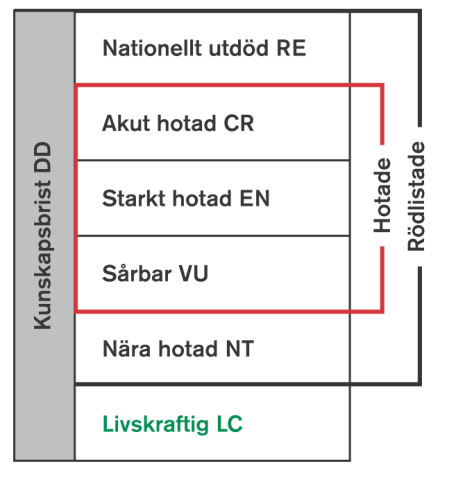 Enligt den nya lagstiftning som trädde i kraft den 1 januari 2013 behövs det ingen separat dispens för åtgärder inom generella biotopskyddsområden om de behandlas inom en vägplan eller en