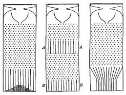 Quincunx Galtons bean machine Simulering: Bildkälla: