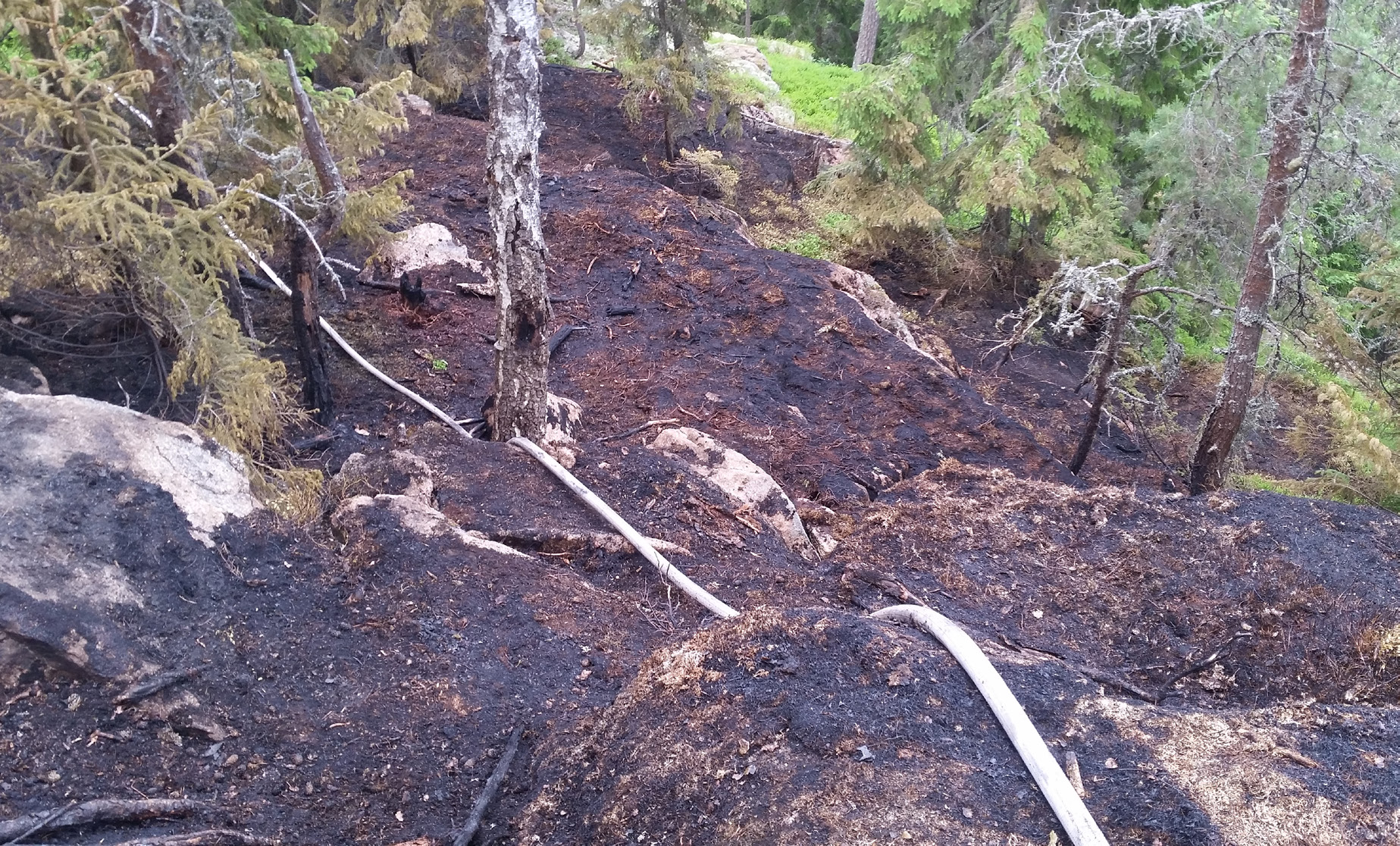 Insatser Skogsbränder i Ydre kommun i juni Den 4 juni drog ett åskoväder in över Ydre kommun med ett antal blixtnedslag som följd.