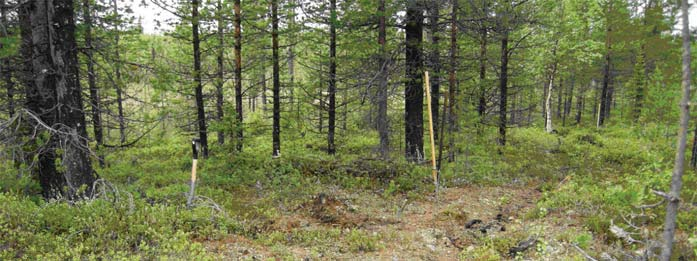 Stick med sond och skelleftepik gav indikationer på mer sten i området.