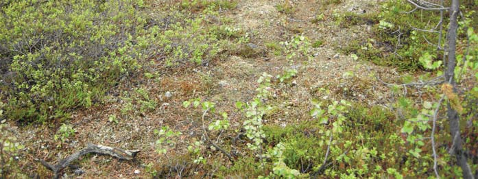 provgropar i områden där indikationer på sten påträffats.