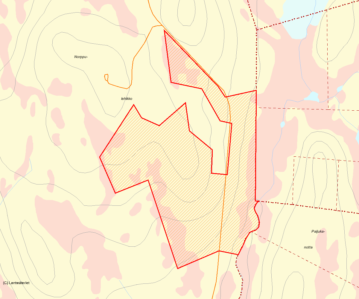 Länsstyrelsens bedömning Norppulehikko är ett urskogsartat skogsområde med höga naturvärden som hyser gott om urskogsstrukturer som är knutna till den gamla granskogen.