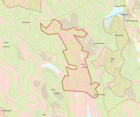 Länsstyrelsens bedömning Uusijänkkä utgörs av ett stort sammanhängande våtmarksområde med tillhörande granskog, där andelen urskogsartad skog är hög.
