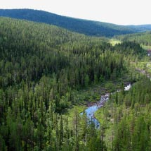 3754 Jelka-Rimakåbbå Kommun Jokkmokk Totalareal 36 955 ha Naturgeografisk region 32c, 52a Areal land 36 466 ha Objektskategori U2 Areal vatten 489 ha Markägare Sveaskog Areal produktiv skogsmark 24