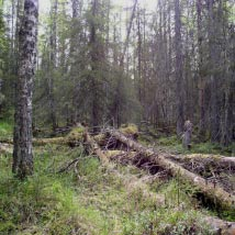3946 Vittamaa Kommun Övertorneå Totalareal 231 ha Naturgeografisk region 32d Areal land 231 ha Objektskategori U1 Areal vatten 0 ha Markägare Sveaskog Areal produktiv skogsmark 154 ha Ovanför