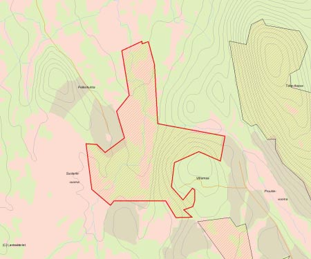 Länsstyrelsens bedömning Skogen i Vittamaa är en granurskog i sent successionsstadium, med urskogens alla kvalitéer.