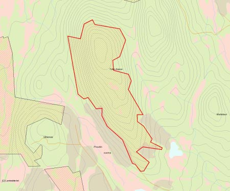 Länsstyrelsens bedömning Taka-Aapua är ett område med höga naturvärden som till stor del utgörs av urskogsartade brandpräglade barrblandskogar med delvis hög lövrikedom.