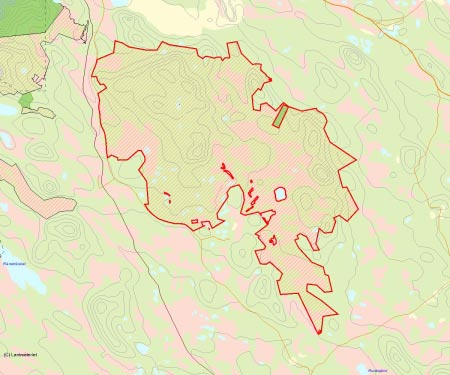 Länsstyrelsens bedömning Leipipir är ett av Sveriges största, oskyddade urskogsområden och få områden i landet hyser lika höga natur- och landskapsvärden.