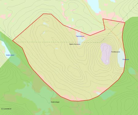 Länsstyrelsens bedömning Parrikkavaara är ett urskogsobjekt som ansluter som en djup bukt in i reservatet Lina Fjällurskog.