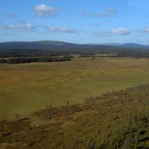 2902 Karhuvaara Kommun Gällivare Totalareal 17 901 ha Naturgeografisk region 52a Areal land 17 699 ha Objektskategori U2 Areal vatten 202 ha Markägare Sveaskog Areal produktiv skogsmark 9 221 ha