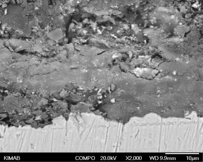samples (in cross section) after exposure testing in