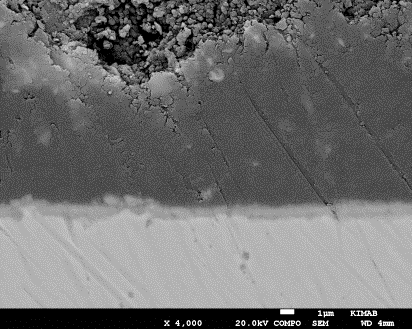100 µm 10 µm 1