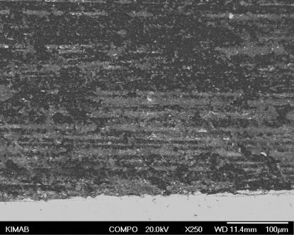250x 2000x 4000x Ref 1 100 µm 10 µm 1 µm Ref 2 100 µm 10 µm