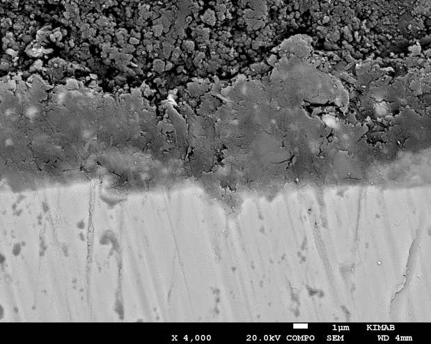 SEM-image showing an example of the different surface layers