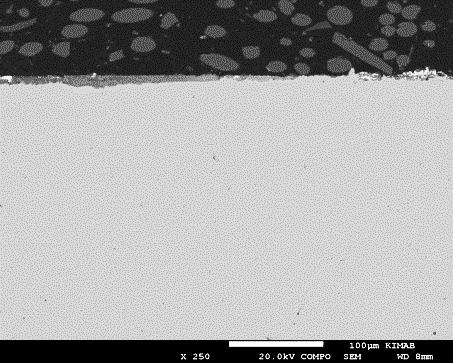 250x 250x 250x Pb K Cl, Mo/S, K 100 µm 100 µm 100 µm Figur