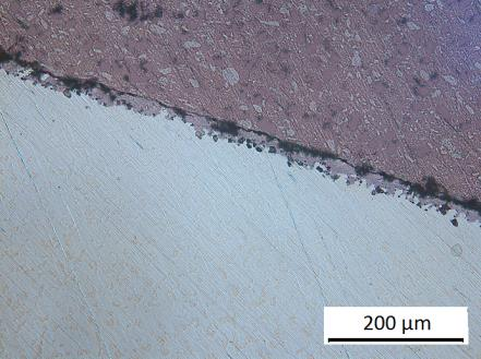 100 µm Figur 22.