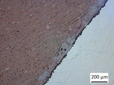 sample (in cross section) after exposure testing in accordance with