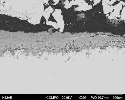 100 µm 10 µm 1 µm Nivå 2 100 µm Cl-inträngning 100 µm 10 µm