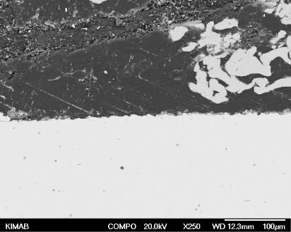 250x 250x 250x 100 µm 100 µm 100 µm 2000x