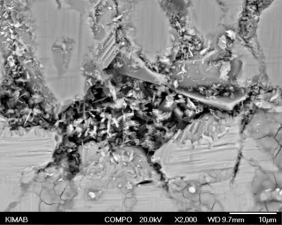 10 µm Figur 32.