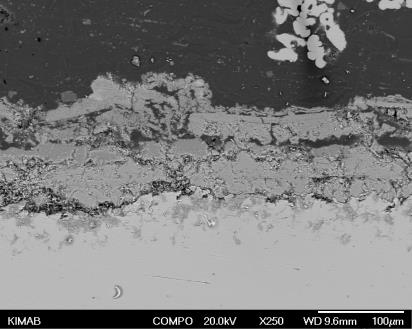 SEM-images of various regions at different