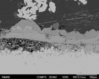 250x 250x 250x 100 µm 100 µm 100 µm