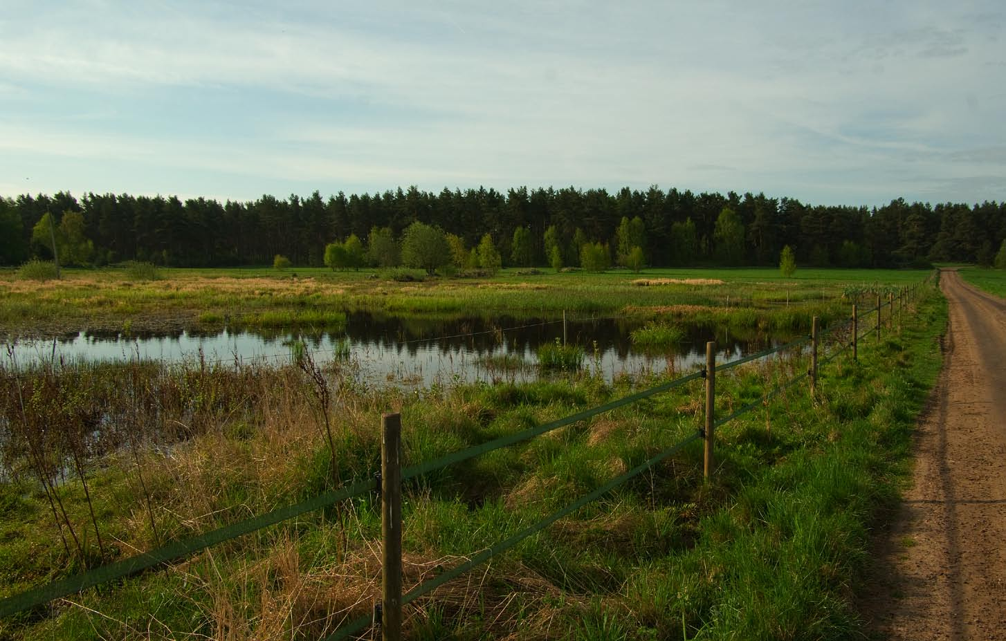 Killegårdarna Lokal: 90-26 x = 6208008 y = 1395397 God vattenhållning hela säsongen. Två spelande i april men ingen reproduktion konstaterad.